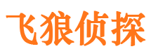 淅川婚姻外遇取证